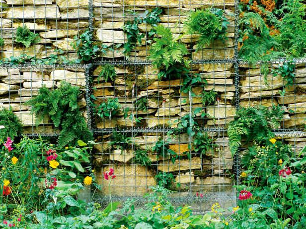 Green wall of gabions