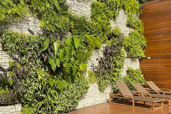 Green wall